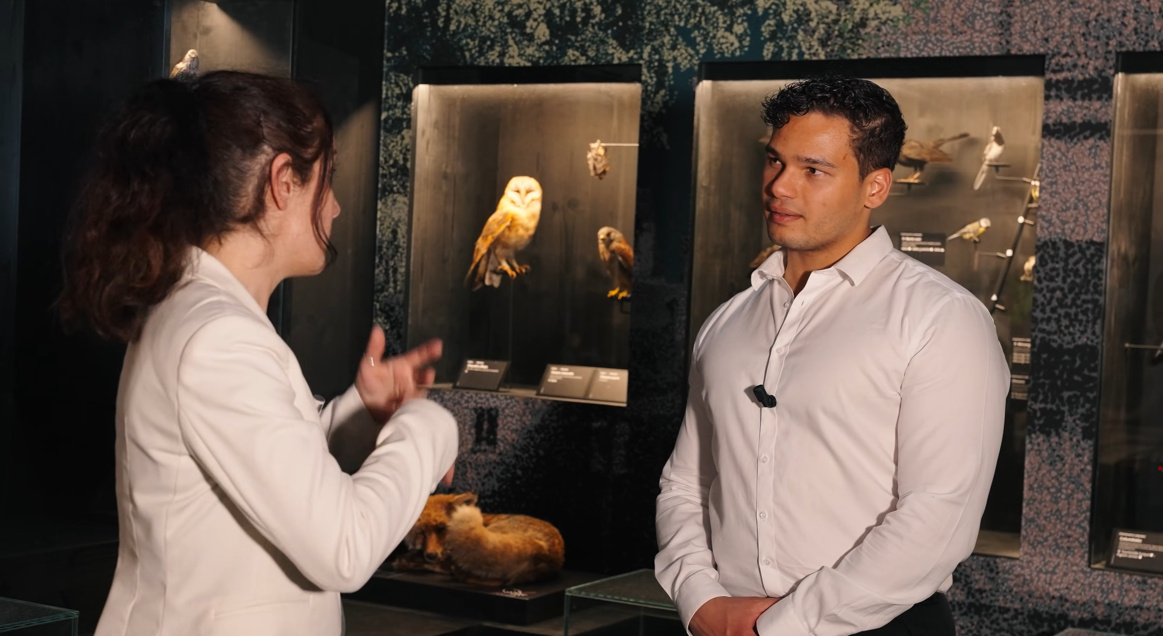 Immersion au MOBE, Musée d'Orléans